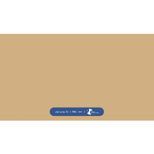 ral-rang-1001 | رال-1001