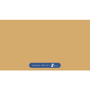ral-rang-1002 | رال-1002