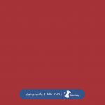 ral-rang-3031 | رال-3031