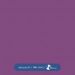 ral-rang-4008 | رال-4008