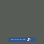 ral-rang-7010 | رال-7010