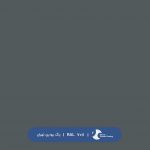 ral-rang-7011 | رال-7011