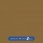 ral-rang-8000 | رال-8000