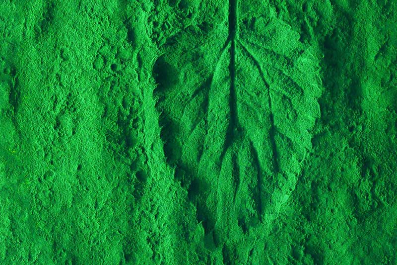 آیا رنگ های صنعتی می توانند سازگار با محیط زیست باشند